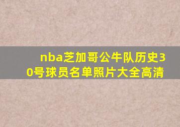 nba芝加哥公牛队历史30号球员名单照片大全高清