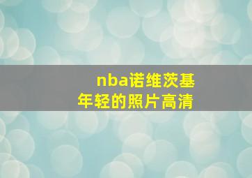 nba诺维茨基年轻的照片高清