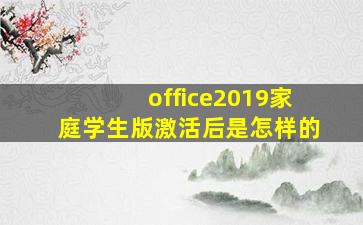 office2019家庭学生版激活后是怎样的