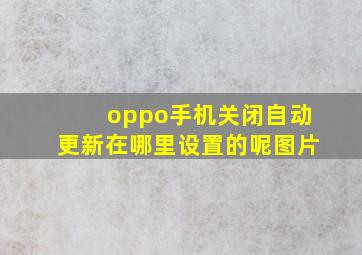 oppo手机关闭自动更新在哪里设置的呢图片