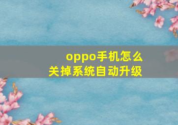 oppo手机怎么关掉系统自动升级