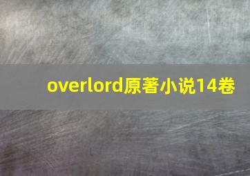 overlord原著小说14卷