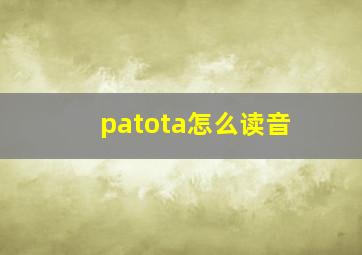 patota怎么读音