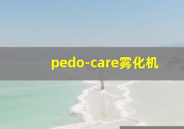 pedo-care雾化机