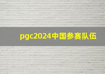 pgc2024中国参赛队伍