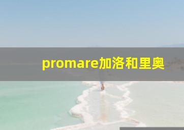 promare加洛和里奥