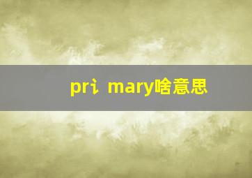 pr讠mary啥意思