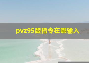 pvz95版指令在哪输入