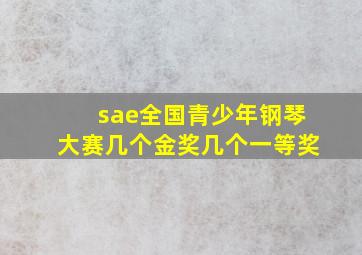 sae全国青少年钢琴大赛几个金奖几个一等奖