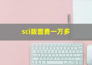 sci版面费一万多