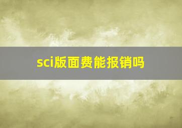 sci版面费能报销吗