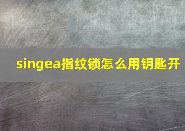 singea指纹锁怎么用钥匙开