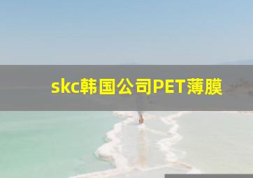 skc韩国公司PET薄膜