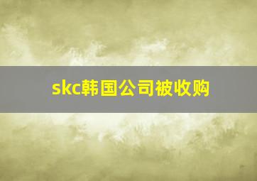 skc韩国公司被收购