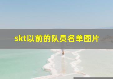 skt以前的队员名单图片