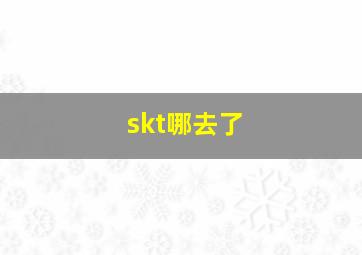 skt哪去了