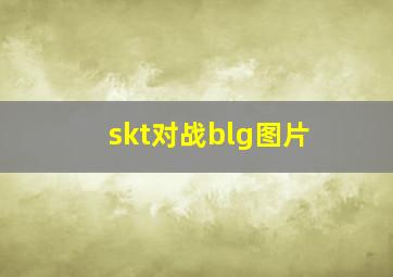 skt对战blg图片