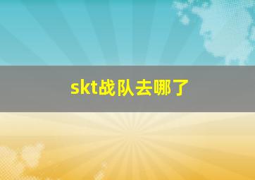 skt战队去哪了