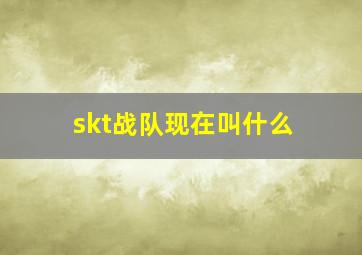 skt战队现在叫什么