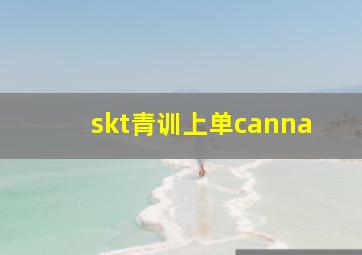 skt青训上单canna