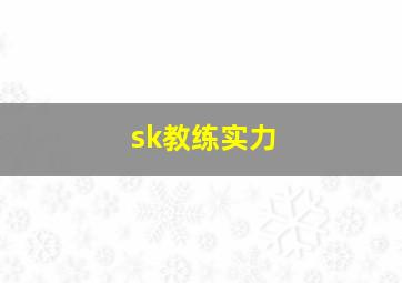 sk教练实力