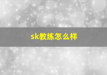 sk教练怎么样