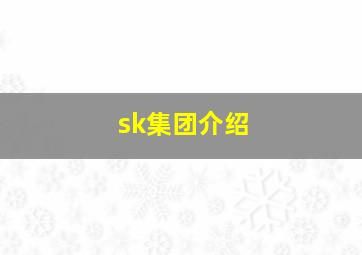 sk集团介绍