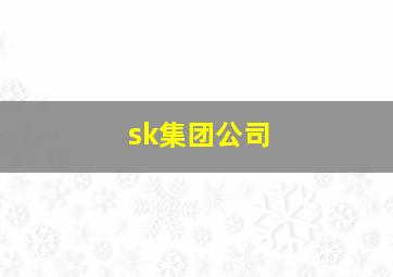 sk集团公司