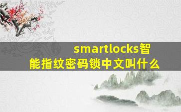 smartlocks智能指纹密码锁中文叫什么