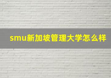 smu新加坡管理大学怎么样