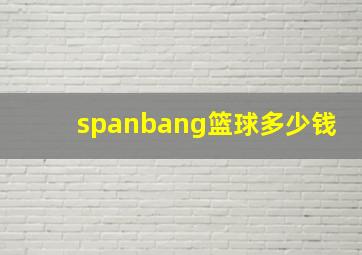 spanbang篮球多少钱