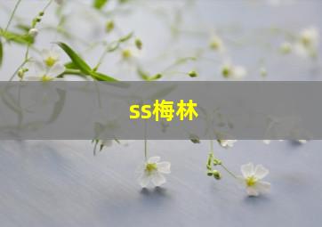 ss梅林