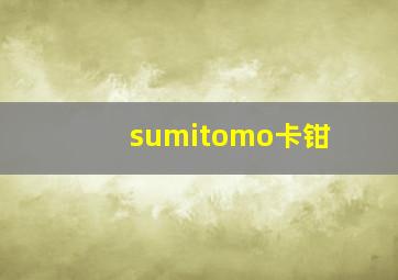 sumitomo卡钳