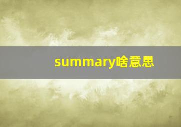 summary啥意思