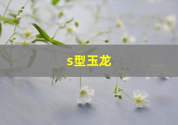 s型玉龙