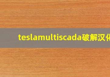 teslamultiscada破解汉化