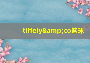 tiffely&co篮球