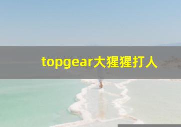 topgear大猩猩打人