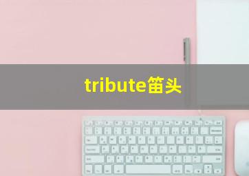 tribute笛头