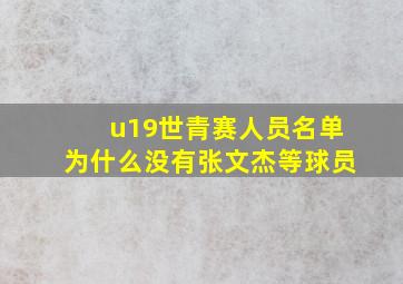 u19世青赛人员名单为什么没有张文杰等球员