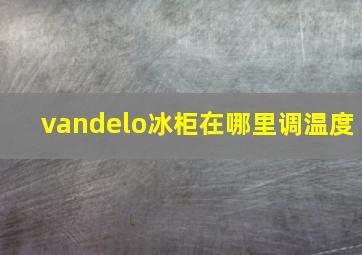 vandelo冰柜在哪里调温度