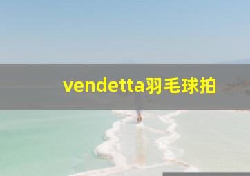 vendetta羽毛球拍