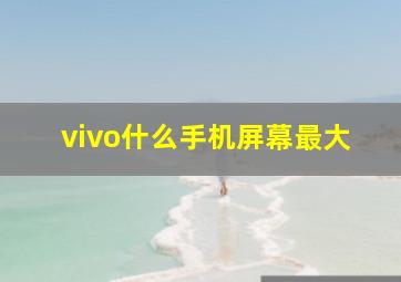 vivo什么手机屏幕最大