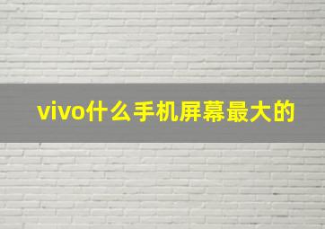 vivo什么手机屏幕最大的