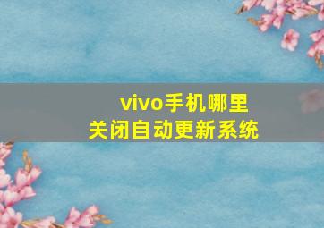 vivo手机哪里关闭自动更新系统