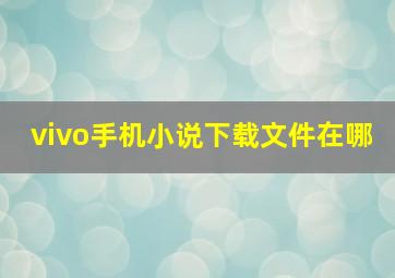 vivo手机小说下载文件在哪