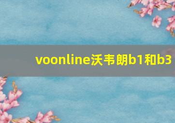 voonline沃韦朗b1和b3