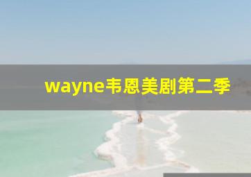 wayne韦恩美剧第二季