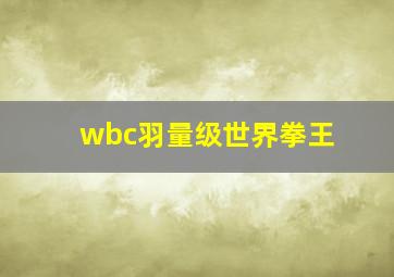 wbc羽量级世界拳王