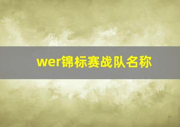 wer锦标赛战队名称